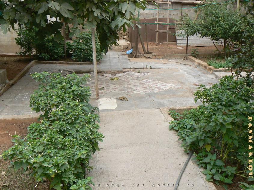 6 rue gl. Ferradou le jardin 05 Gambetta .jpg